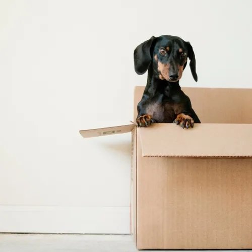 How to Ensure Your London Home Move is as Hassle Free as Possible