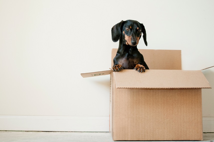 How to Ensure Your London Home Move is as Hassle Free as Possible