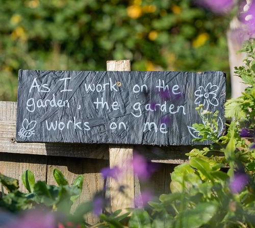 Summer Garden Projects Worth Doing This Year